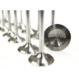 Valves & Seals
