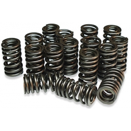 Valve springs