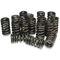 Valve springs